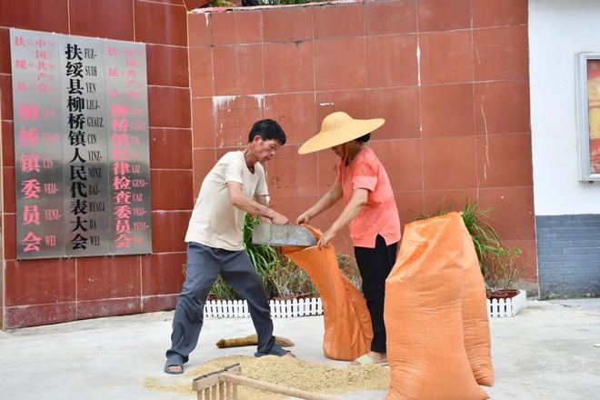 个县城创造罚款收入下降“奇迹”开元棋牌政府大楼旁可以摆摊这(图9)